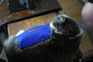 glymm_cat